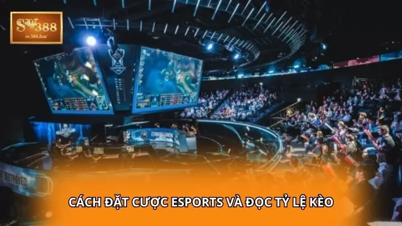 Cách đặt cược eSports và đọc tỷ lệ kèo